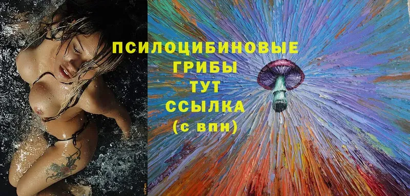 мега зеркало  Юрьев-Польский  Галлюциногенные грибы Magic Shrooms 